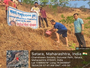 Tree Plantation Programme
